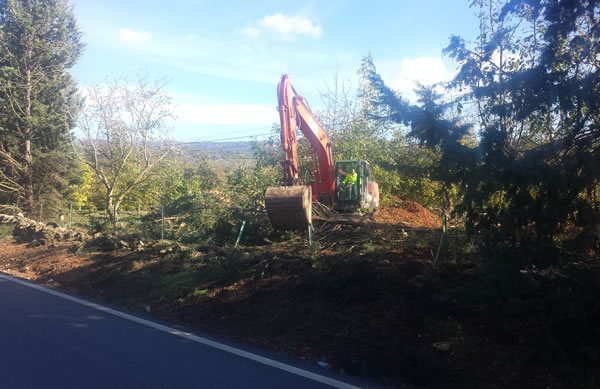 Máquina desbrozando para acondicionar una finca